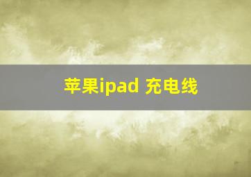 苹果ipad 充电线